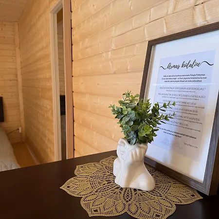 منتزه العطل Puhkemaja *