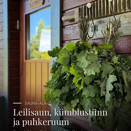 بيت للعطل Puhkemaja *