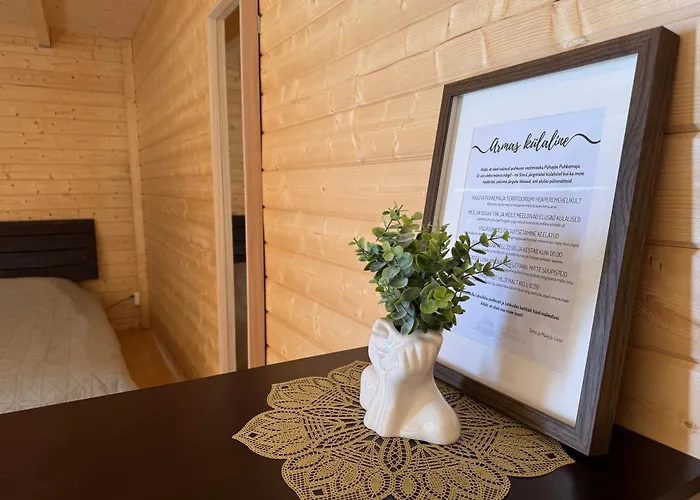 Kompleks wypoczynkowy Puhkemaja *